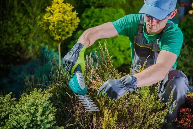 landscaping services Richlawn